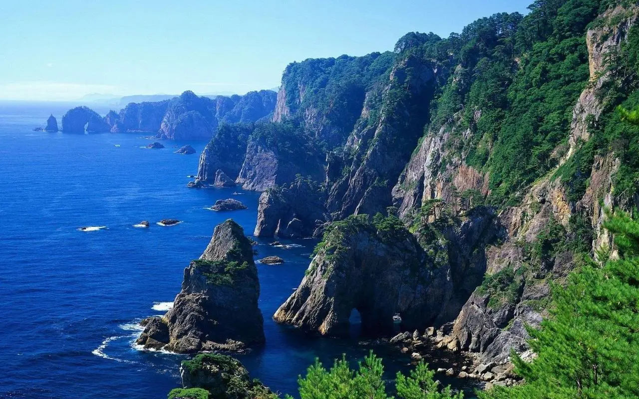 先进自动化环保